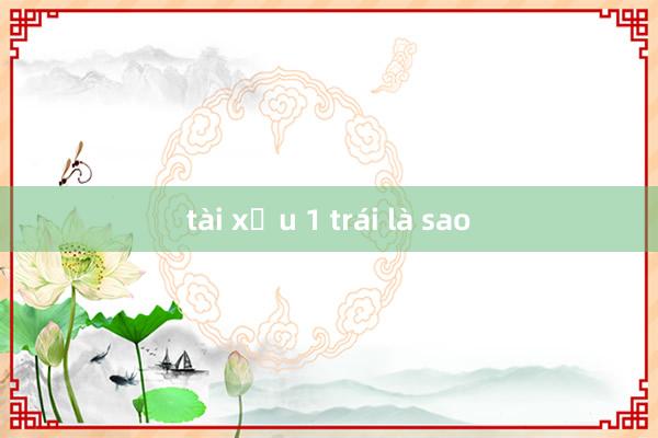 tài xỉu 1 trái là sao