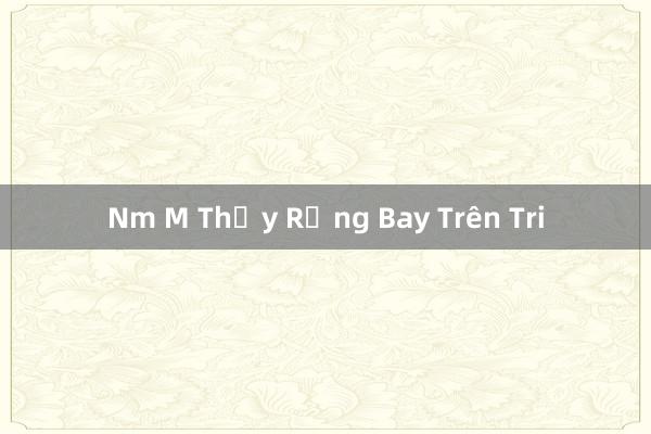 Nm M Thấy Rằng Bay Trên Tri