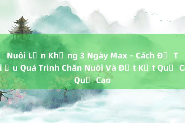 Nuôi Lợn Khủng 3 Ngày Max – Cách Để Tối Ưu Quá Trình Chăn Nuôi Và Đạt Kết Quả Cao