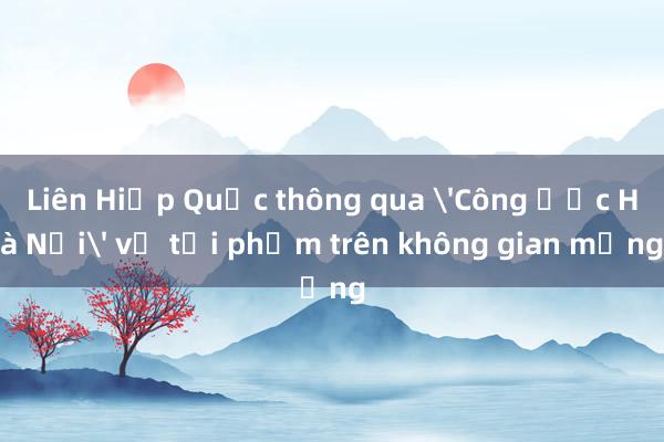 Liên Hiệp Quốc thông qua 'Công ước Hà Nội' về tội phạm trên không gian mạng