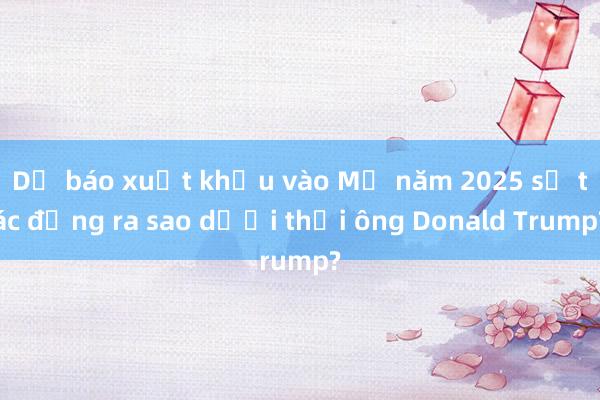 Dự báo xuất khẩu vào Mỹ năm 2025 sẽ tác động ra sao dưới thời ông Donald Trump?