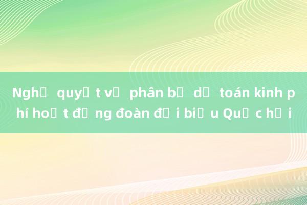 Nghị quyết về phân bổ dự toán kinh phí hoạt động đoàn đại biểu Quốc hội