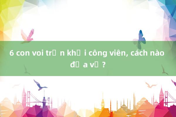 6 con voi trốn khỏi công viên, cách nào đưa về?