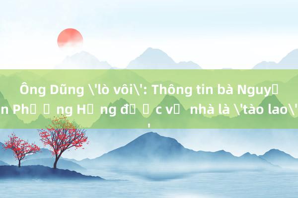 Ông Dũng 'lò vôi': Thông tin bà Nguyễn Phương Hằng được về nhà là 'tào lao'