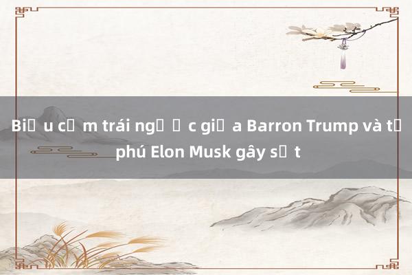 Biểu cảm trái ngược giữa Barron Trump và tỷ phú Elon Musk gây sốt